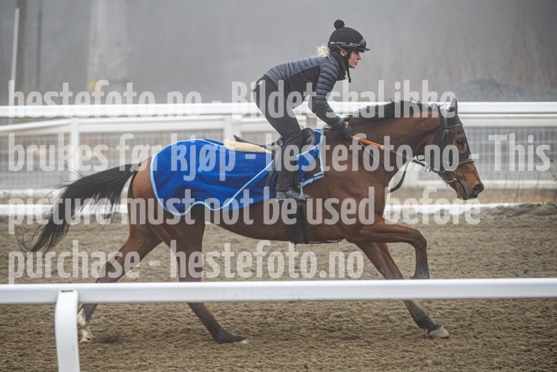 20260328-101714-DSC_5692