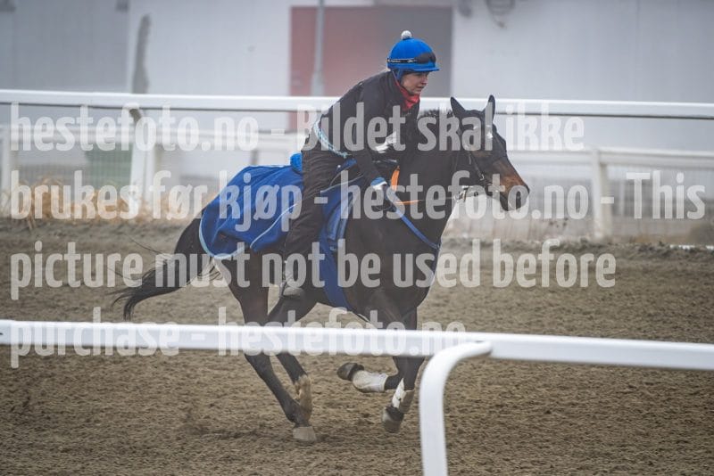 20260328-101718-DSC_5714