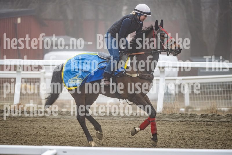 20260328-101727-DSC_5776