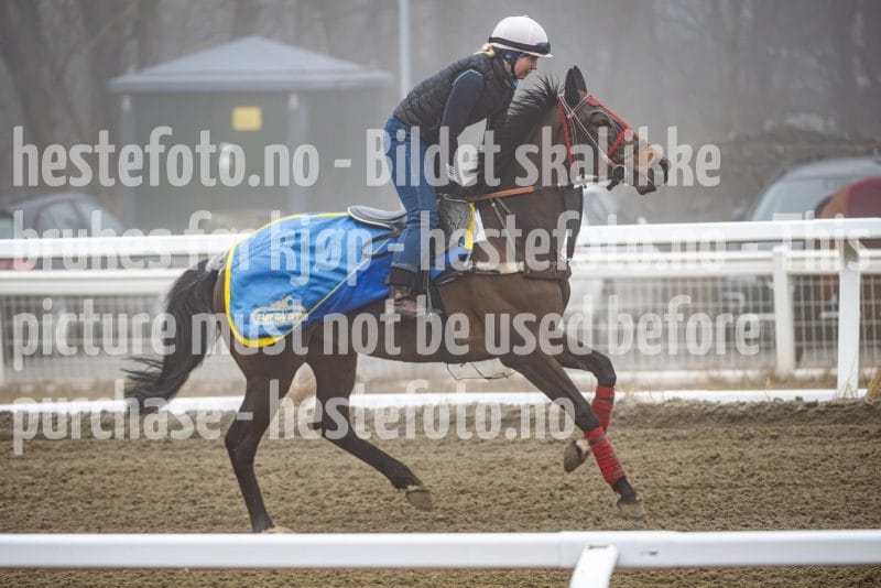 20260328-101728-DSC_5780