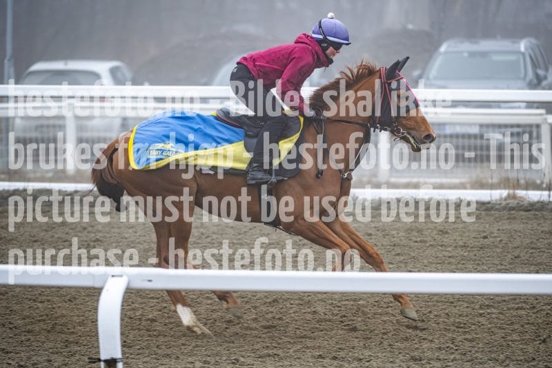 20260328-101811-DSC_5885