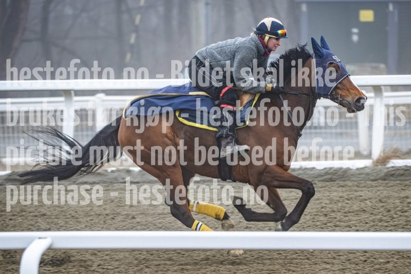 20260328-101849-DSC_5950