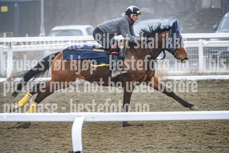 20260328-101849-DSC_5954