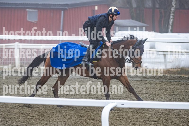 20260328-101940-DSC_6092