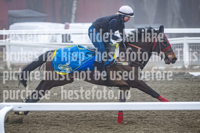 20260328-101953-DSC_6172