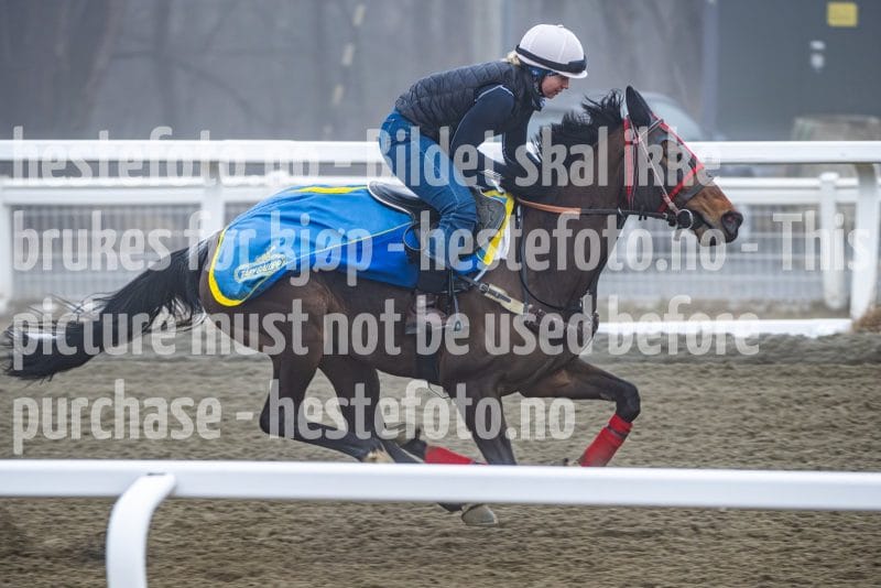 20260328-101953-DSC_6176