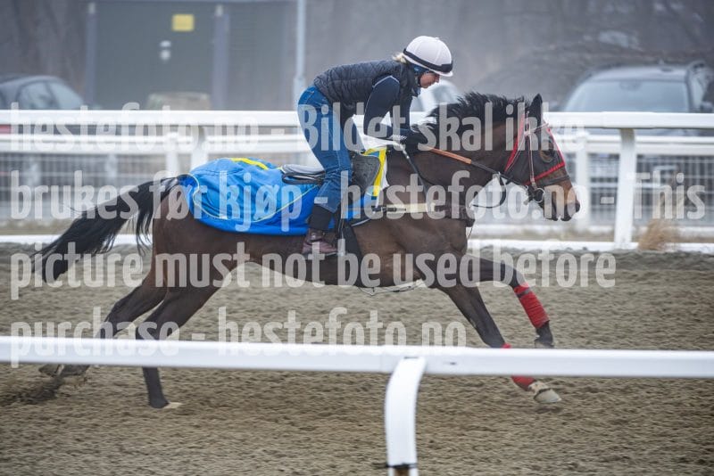 20260328-101953-DSC_6179