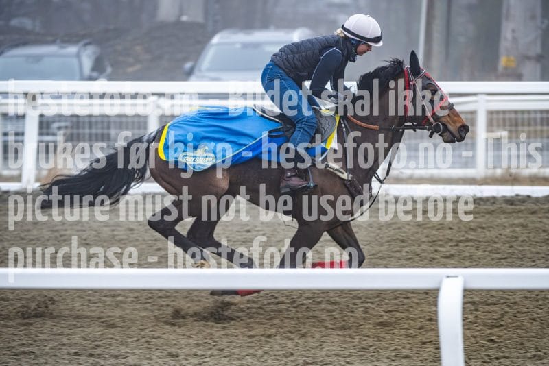 20260328-101953-DSC_6183