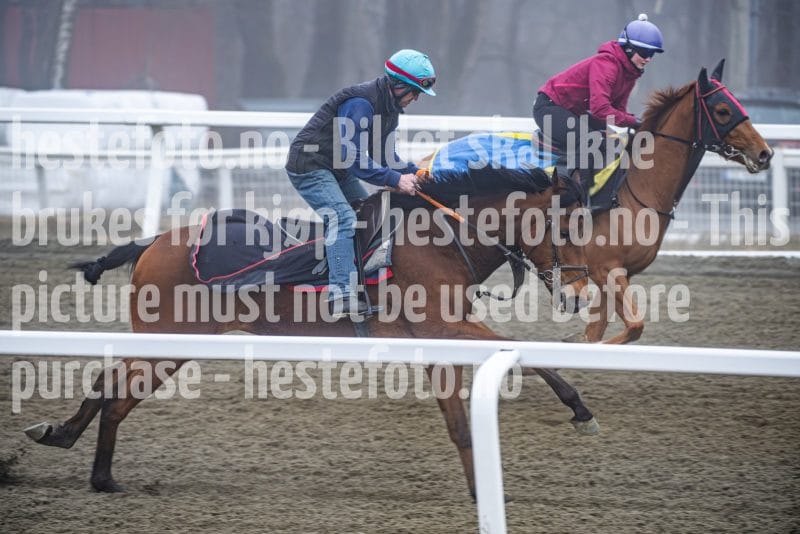 20260328-102026-DSC_6293