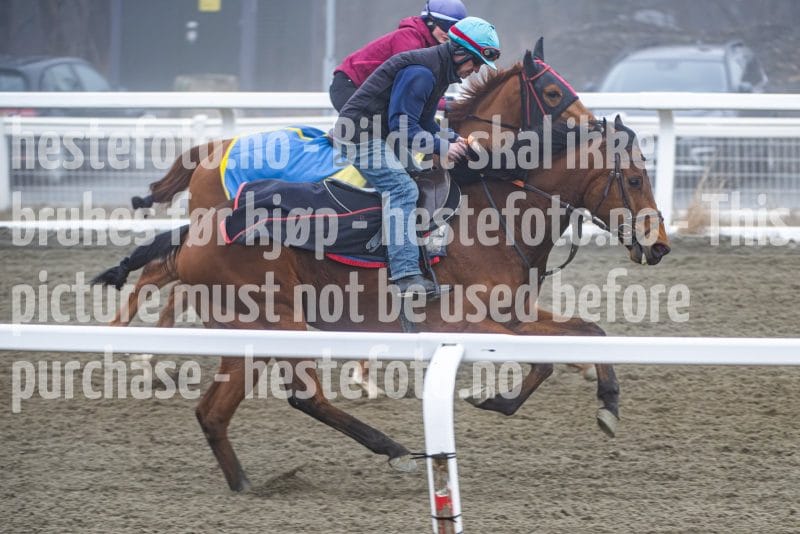 20260328-102027-DSC_6299