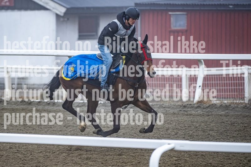 20260328-102046-DSC_6346