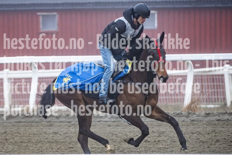 20260328-102046-DSC_6358