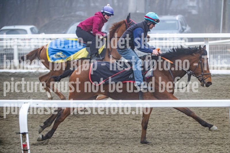 20260328-102027-DSC_6302