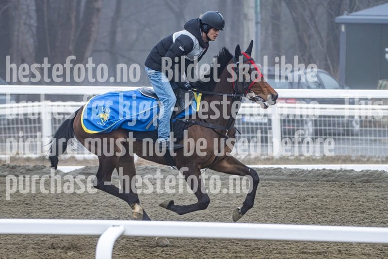 20260328-102047-DSC_6370