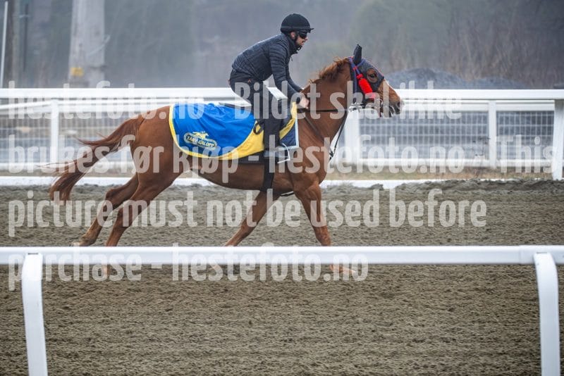 20260328-102049-DSC_6395