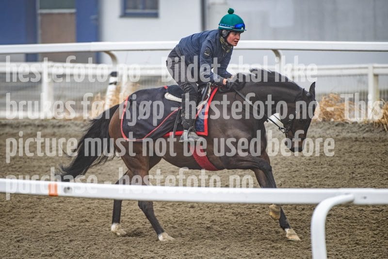 20260328-102058-DSC_6425