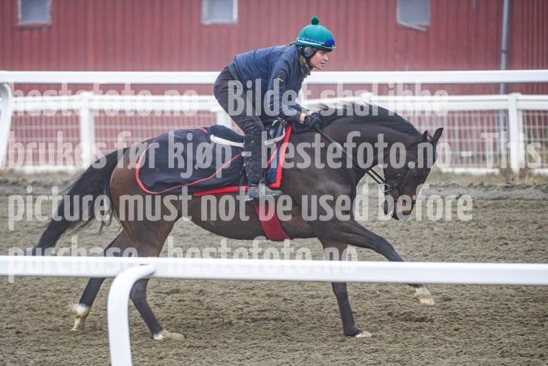 20260328-102059-DSC_6439