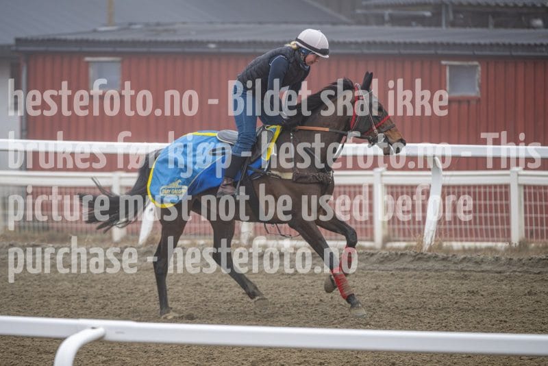 20260328-102207-DSC_6527