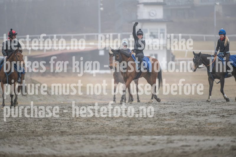 20260328-102238-DSC_6624