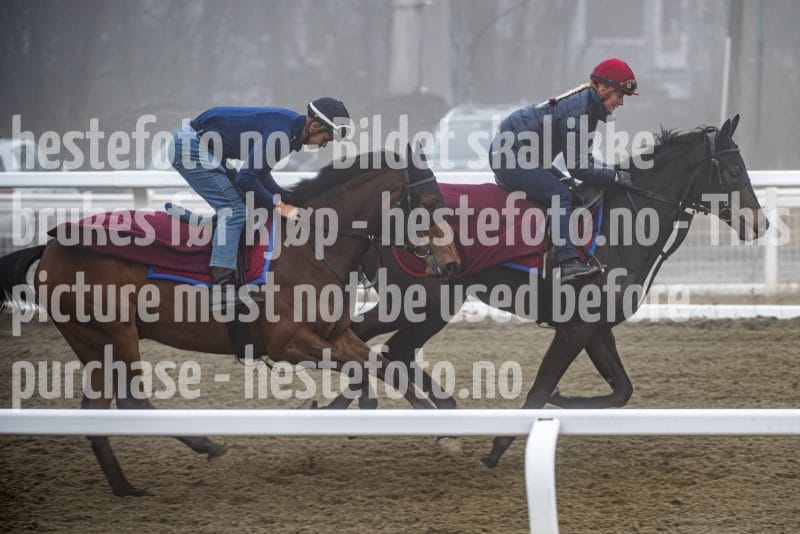 20260328-102406-DSC_6829