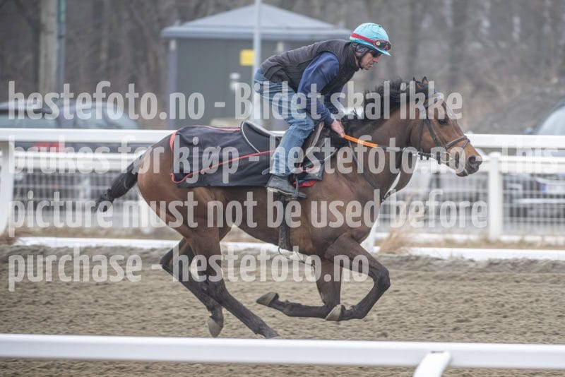 20260328-111925-DSC_6955