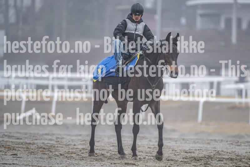 20260328-111936-DSC_6980