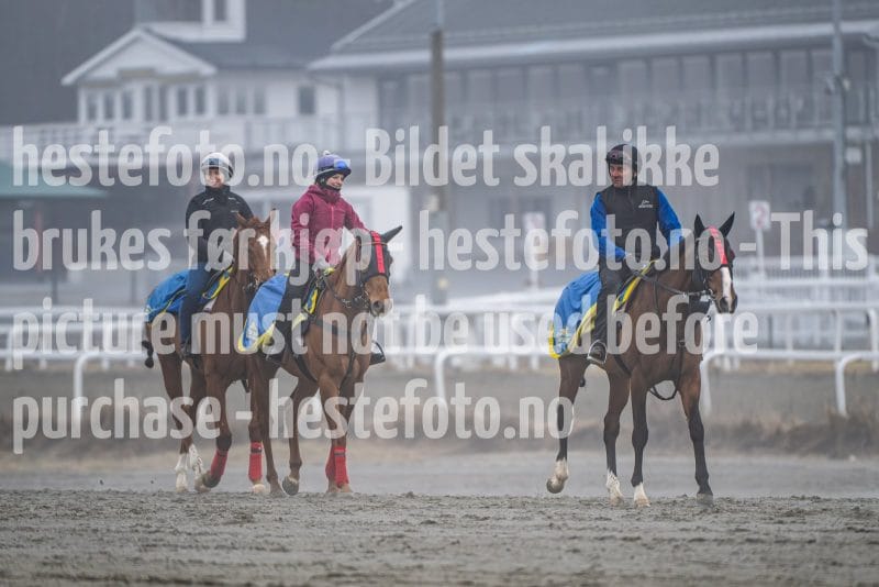 20260328-111944-DSC_7013