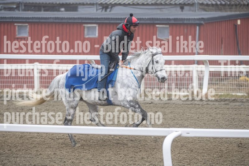 20260328-112151-DSC_7054