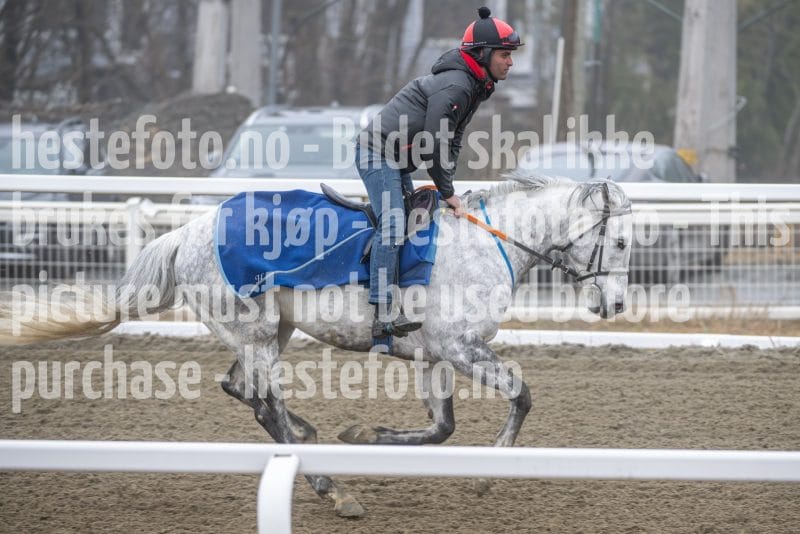 20260328-112152-DSC_7081