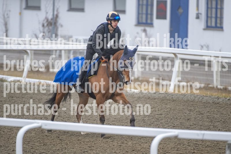 20260328-112318-DSC_7101