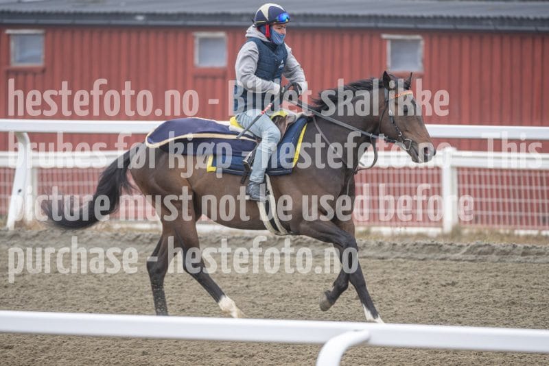 20260328-112324-DSC_7145