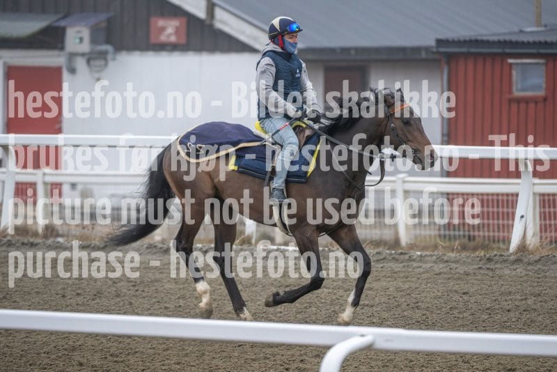 20260328-112324-DSC_7137