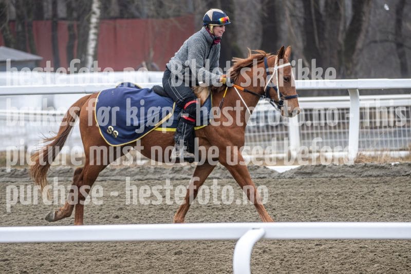 20260328-112329-DSC_7188