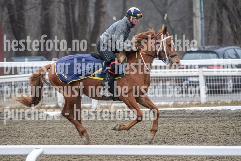 20260328-112330-DSC_7194