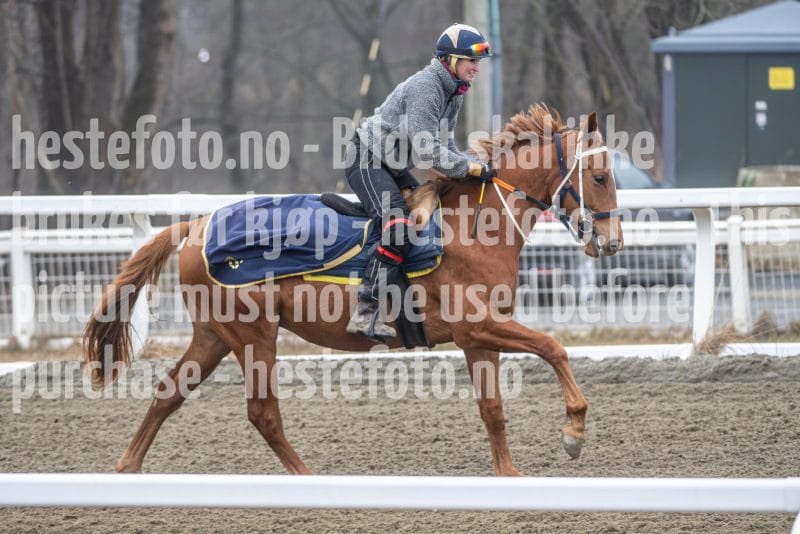 20260328-112330-DSC_7197