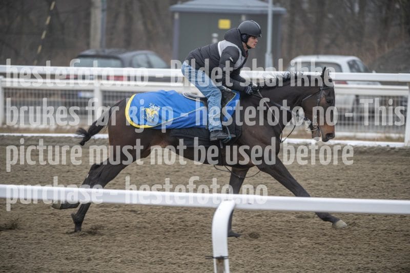 20260328-112541-DSC_7303