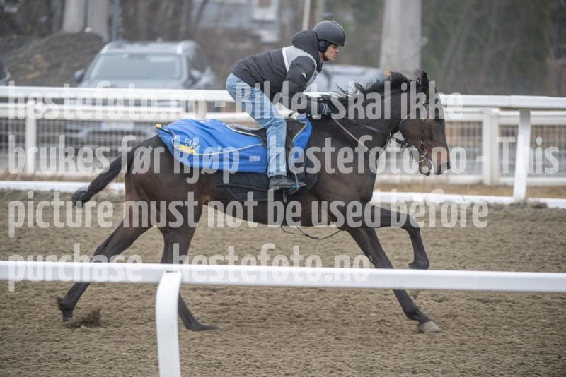 20260328-112541-DSC_7311