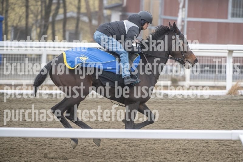 20260328-112542-DSC_7326