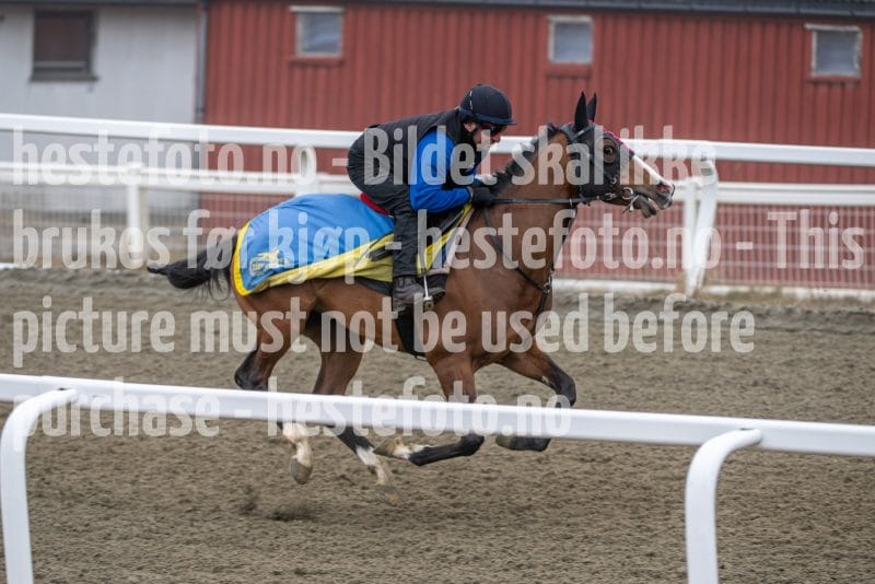 20260328-112619-DSC_7402