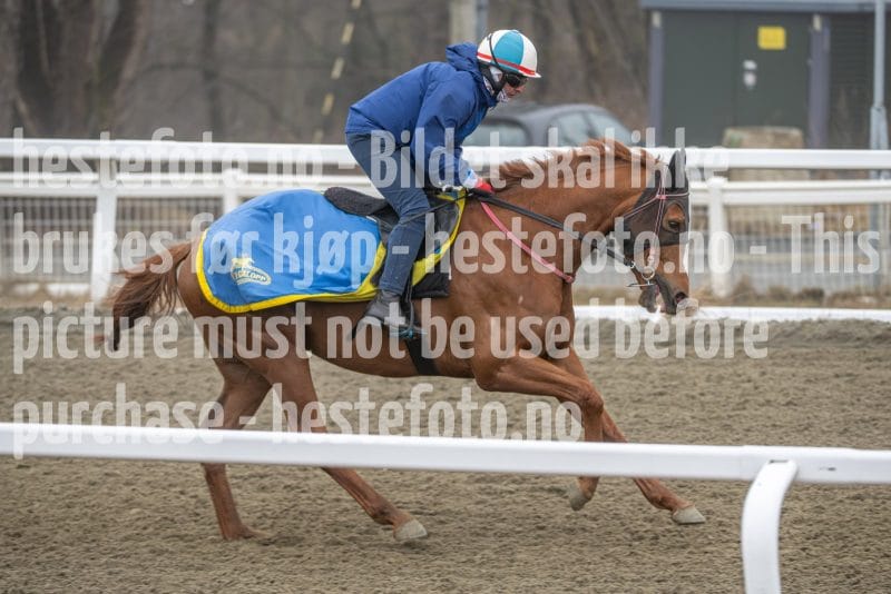 20260328-112609-DSC_7365