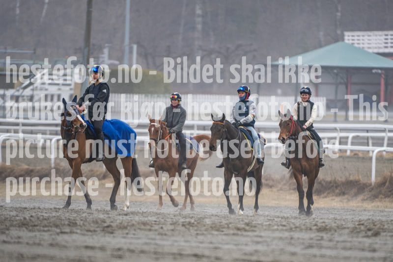 20260328-112638-DSC_7432