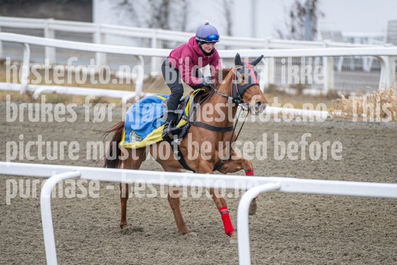 20260328-112718-DSC_7460