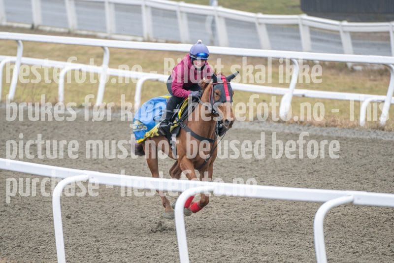 20260328-112716-DSC_7442