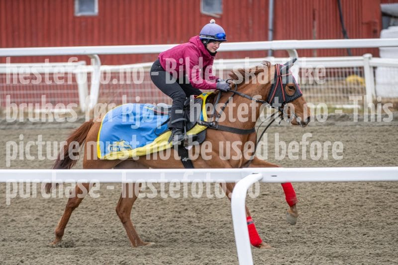 20260328-112721-DSC_7494