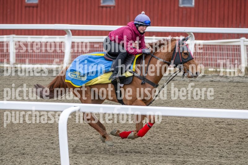 20260328-112720-DSC_7490