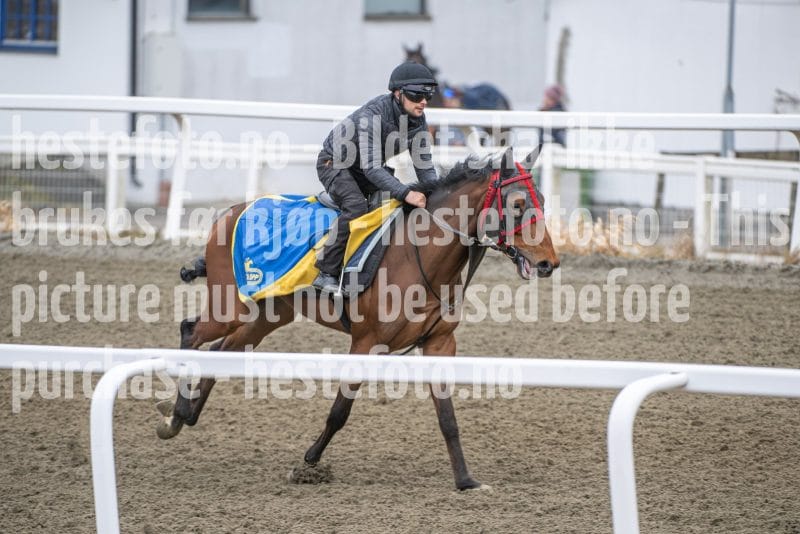 20260328-112722-DSC_7497