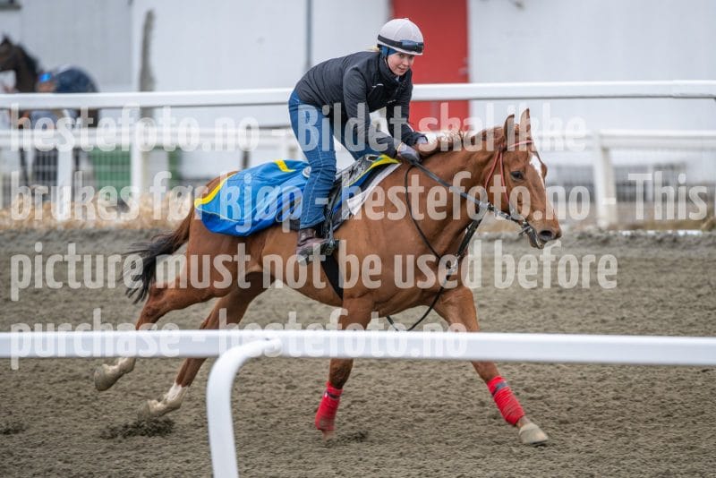 20260328-112726-DSC_7543