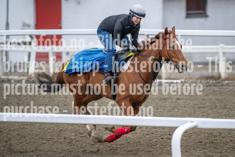 20260328-112726-DSC_7546