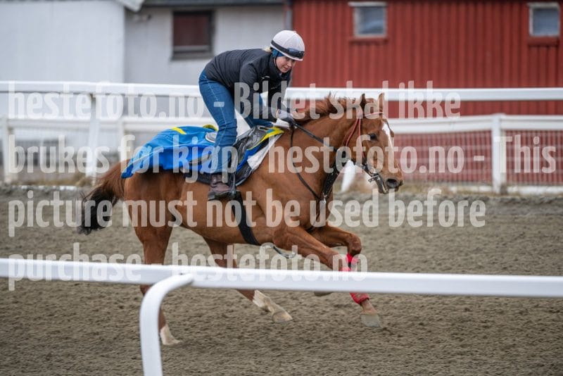 20260328-112726-DSC_7549