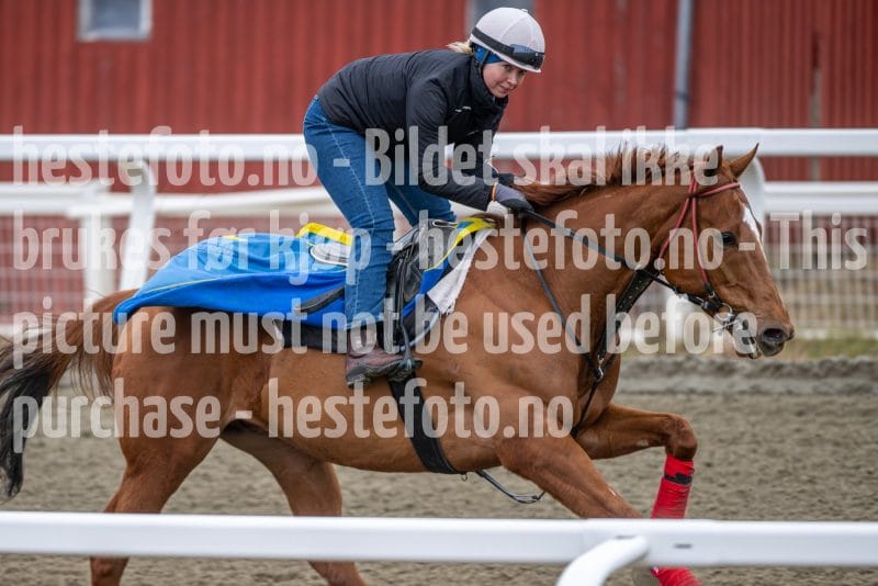 20260328-112727-DSC_7559